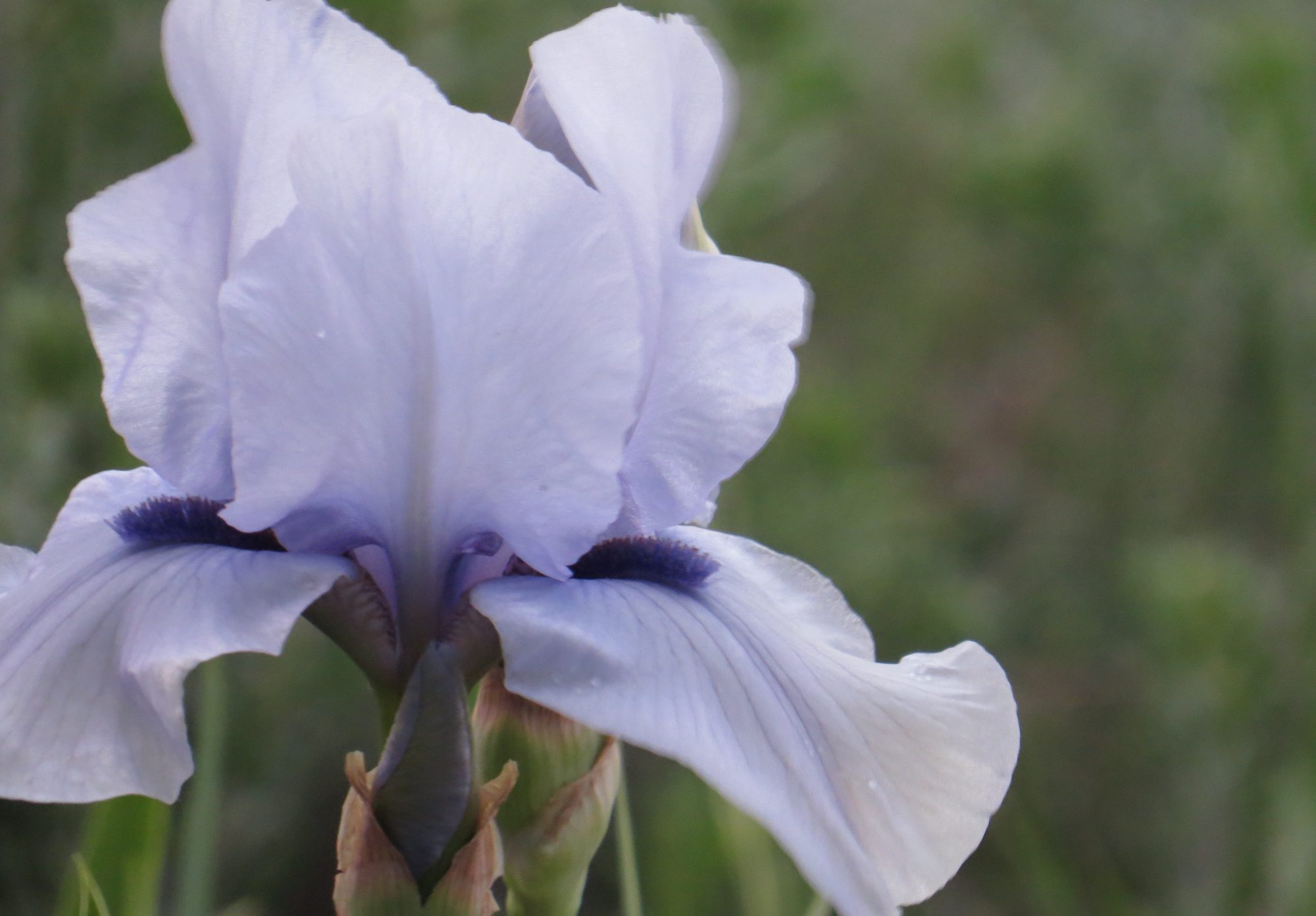 You don't have to go to a third-world country to heal when your life turns to sh1t!